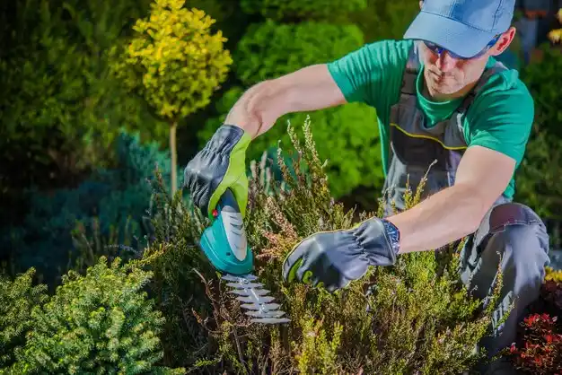 landscaping services Crawford